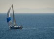 Navigating The Whirlwind